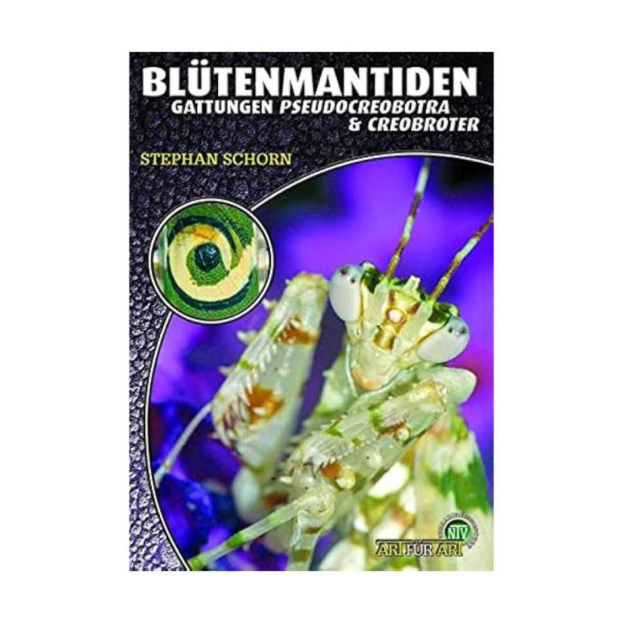 Blütenmantiden - Gattungen Pseudocreobotra & Creobroter