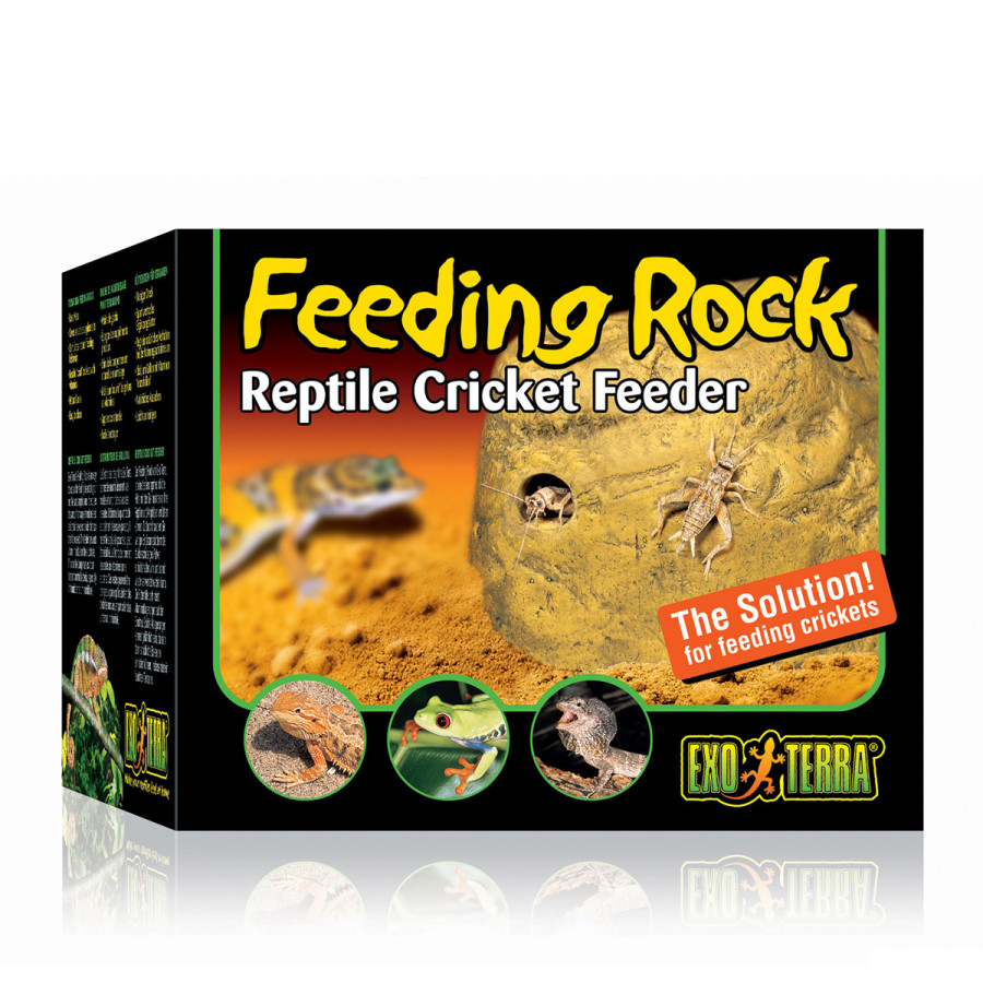 Exo Terra Feeding Rock