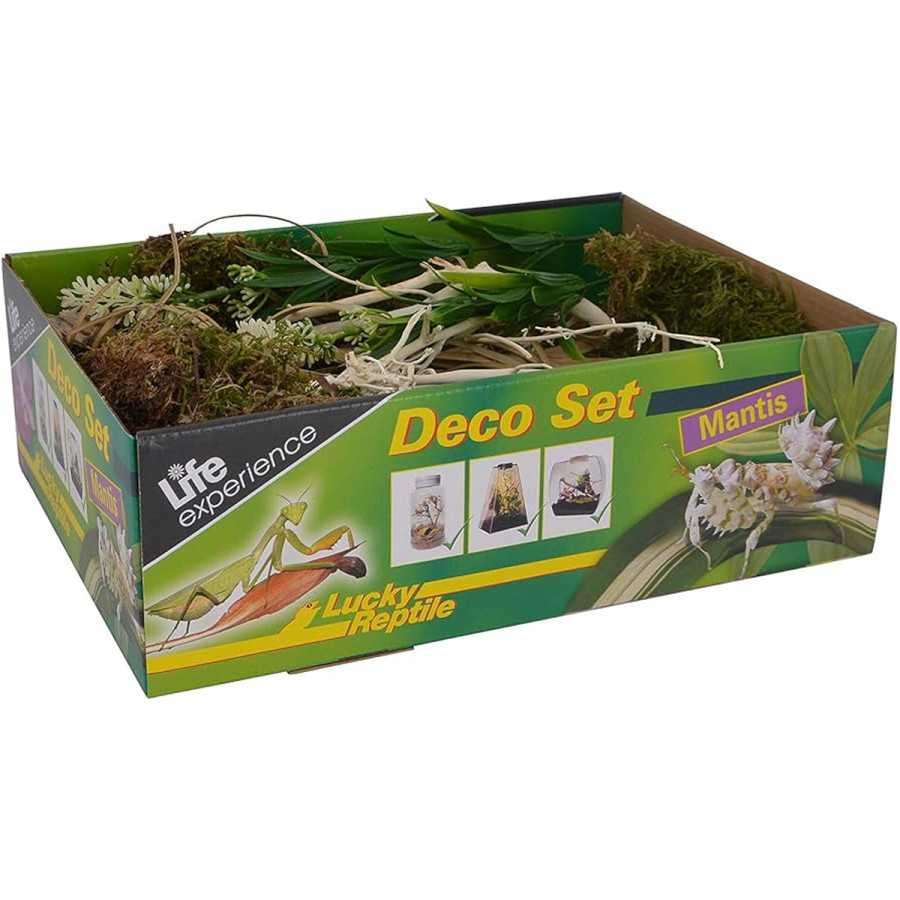 Lucky Reptile - Life Experience-Deco Set