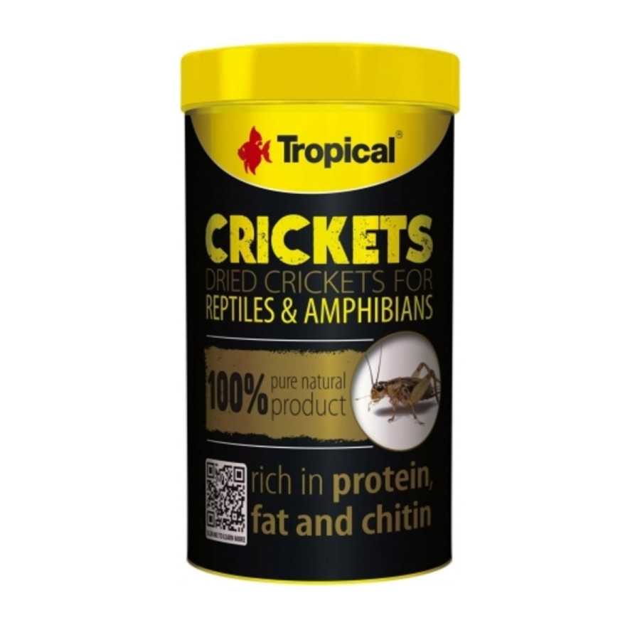 Tropical Crickets 100ml / 10g