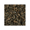 Tropical Crickets 100ml / 10g