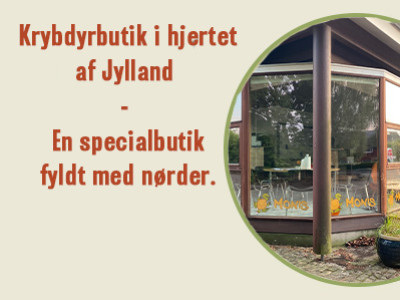  Krybdyr Butik i Jylland – en butik fuld af nørder.